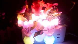 big size mashroom lamp