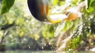 HUNGRY FISH