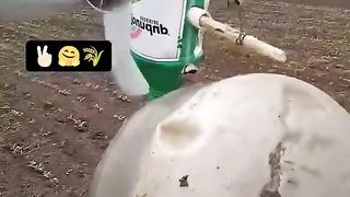 ИДЕИ ЗА ЛИЧНОТО СТОПАНСТВО
