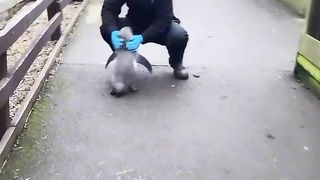 ЛЮБОВТА НЯМА ГРАНИЦИ 2