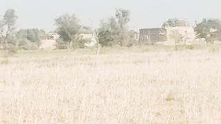 Multan to way taonsa like pl