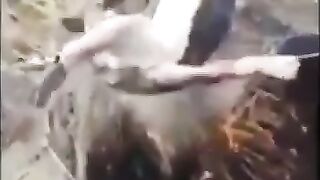 Insanyat ka andaza