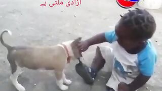 Funny clip 3