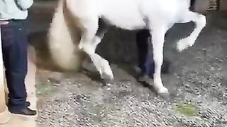 Trending video of the year