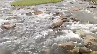 A Beautiful Stream