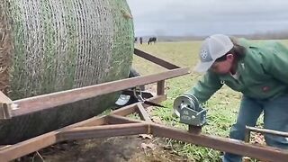 МЛАД ФЕРМЕР