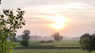 Nice nature video