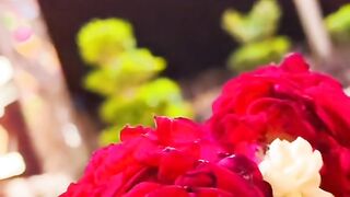 gajra love