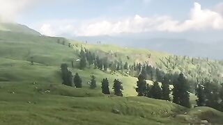 Kashmir