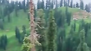 Kashmir