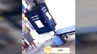Funny dogs and cats videos, best of 2023