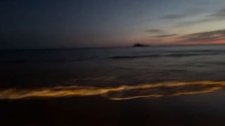 Night view 2