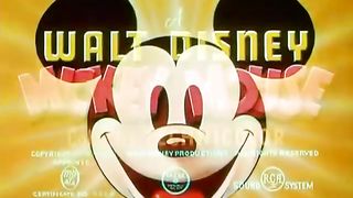 THE CUTE MICKEY MOUSE
