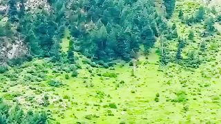 Nature #natural beauty