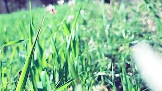 Beauti of nature