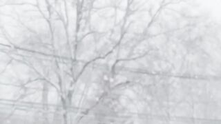 Today snow day #