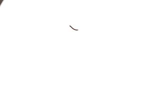 Compilation de CHATS qui MIAULENT