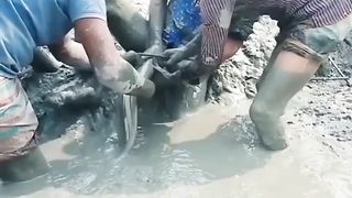 Funny video 266