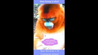 "Funny Monkey"-18