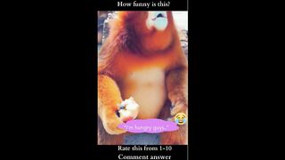 "Funny Monkey"-20