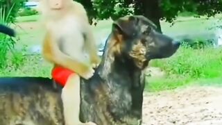 Best funny video ????