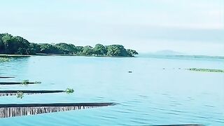 Place that never can see out of Sri Lanka  ARALAGANVILA