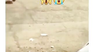 New upload funny video # best funny clip latest fun 2023