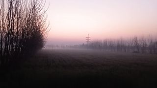 Morning Walk