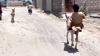 most crazy video #like #clip #fight #dear
