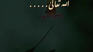 Good morning islamic status 2