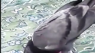جون سکون سجدے میں دنیا کے کسی چیز میں نہیں