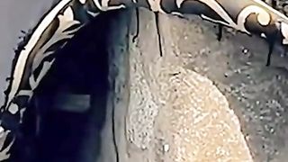 دعا امین ضرور کہے