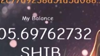 Shiba cloud mining