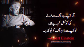 Agar aap bewaqoof se lar rahe hen to aap se bara bewaqoof koi nahi Quotes by Mr Albert Einstein.