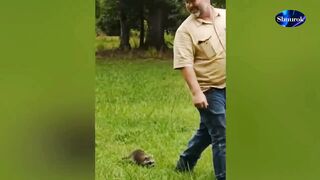 Funny Animal and Human That Will Change Your Mood For Good. Video 2023