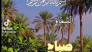 Good morning 3