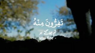 Islamic 7