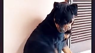 world best funny video #world #best #video