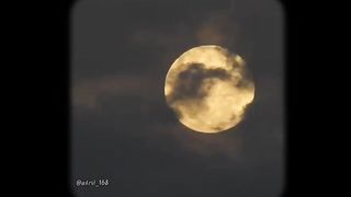 Fly me to the moon