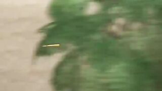 SNIPER dengan tembakan terjauh