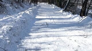 Snowywinter