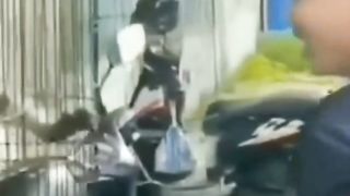 BERCANDA DENGAN KERA