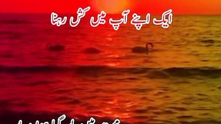Like this video 2