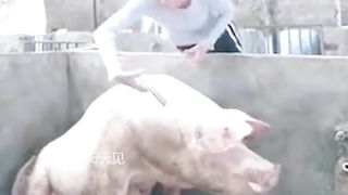 The funny actions when treating animals make people happy