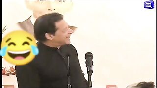 Pti  lover