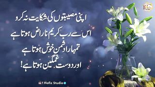 Educational videos, Islamic, reality, febspot, trending, viral,