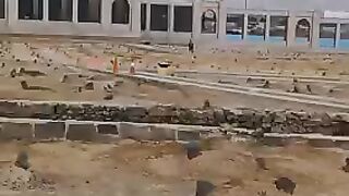 ISLAMIC VEDOI