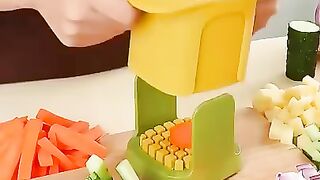 handy mini vegetable cutter