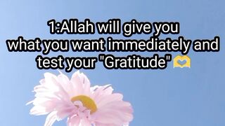 Islamic status 2