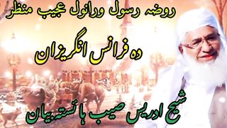 Mulana idrees